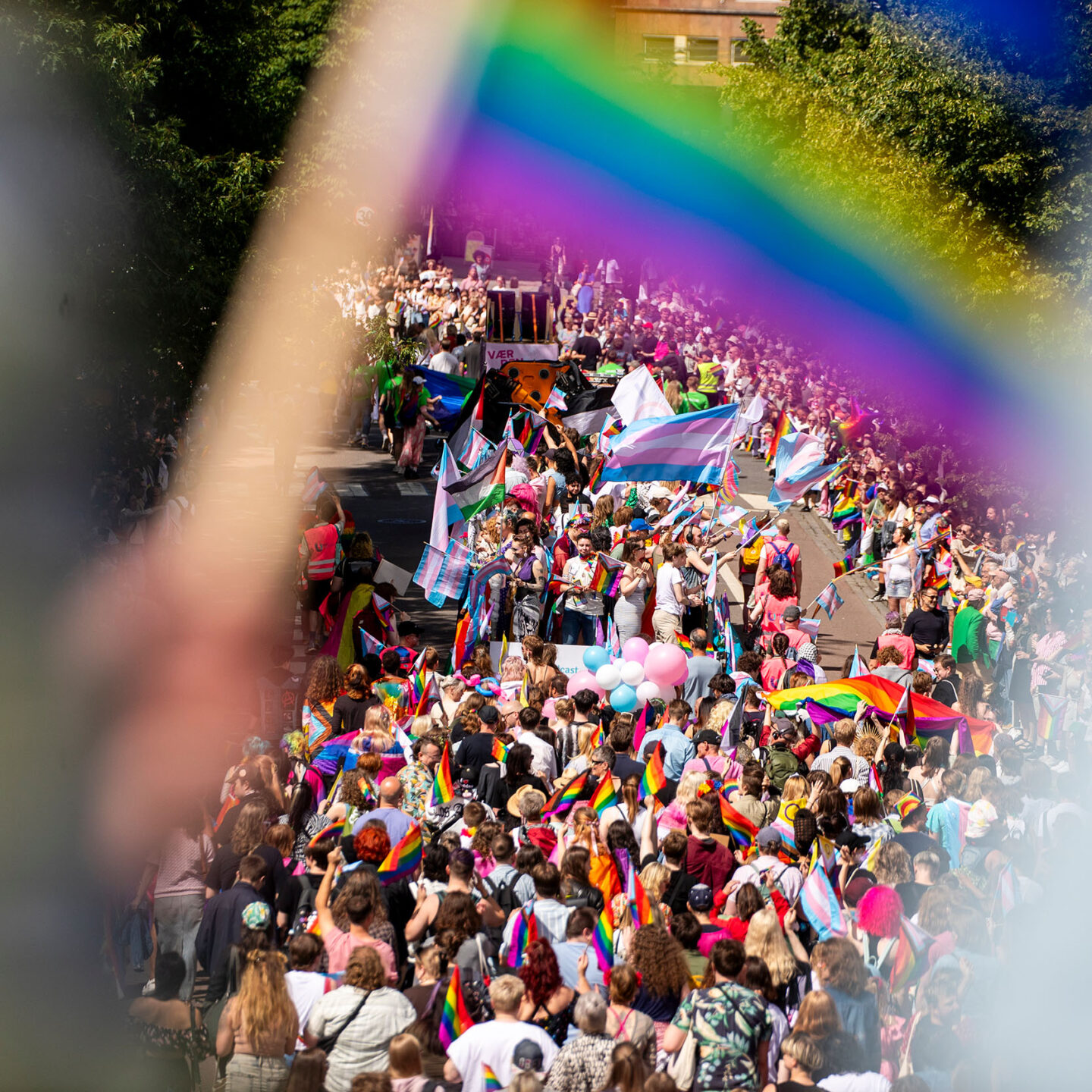 Mange mennesker i Pride-tog i Oslo. Foto