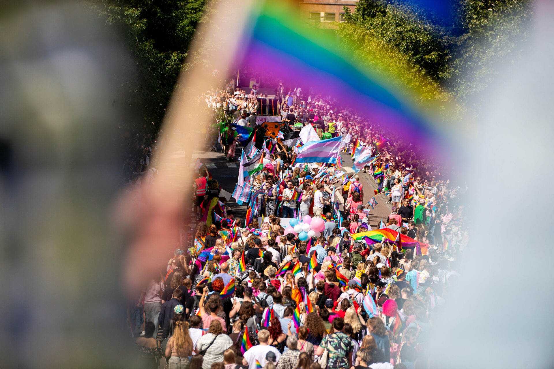 Mange mennesker i Pride-tog i Oslo. Foto