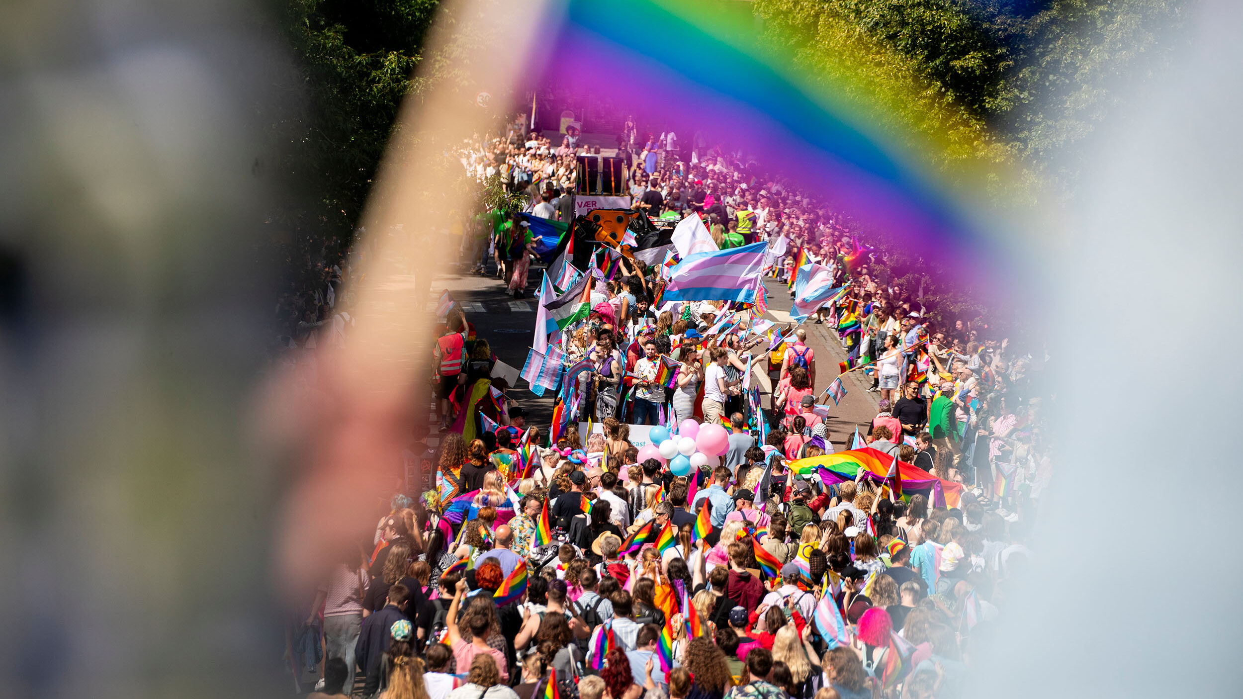 Mange mennesker i Pride-tog i Oslo. Foto